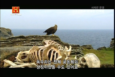 1643FA424D16F76A2D80CF