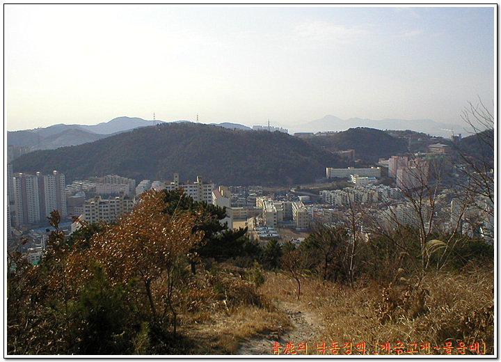 흥아주유소 이미지