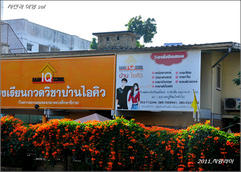 111136394D81BA62212094