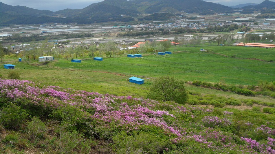 운봉읍(남원) 이미지