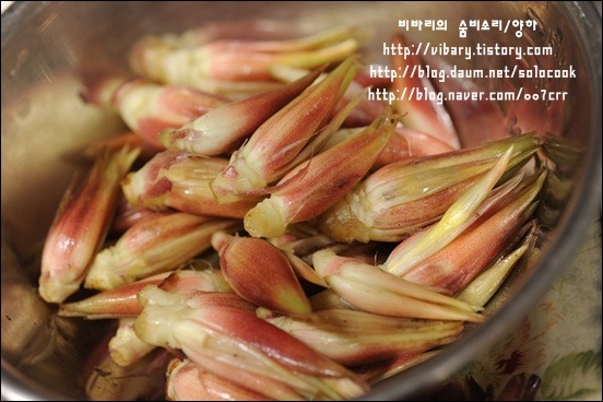 양파피클