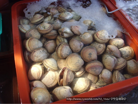 충청도수산 이미지