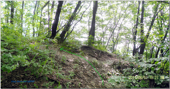 두위지맥5구간[옥동천 합수점(맞밭) - 덕가산 - 두위지맥 분기점 - 응봉산 - 계족산 - 양원리]