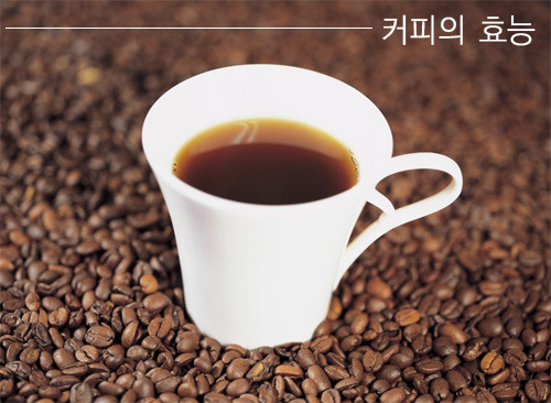덤커피 이미지