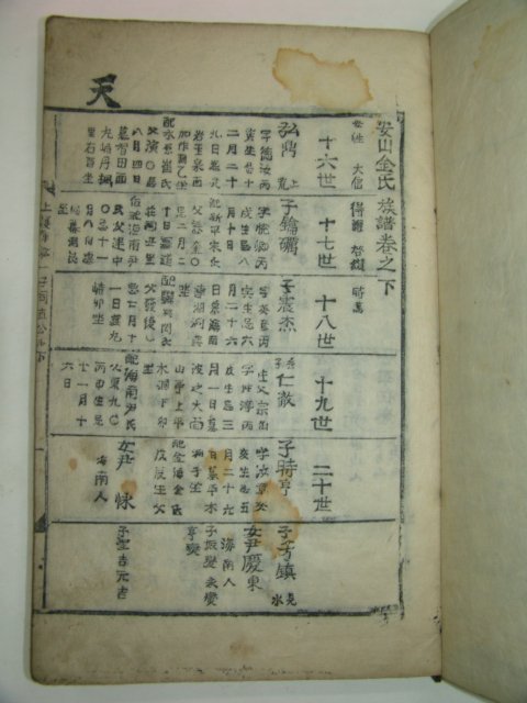 김씨족보 이미지