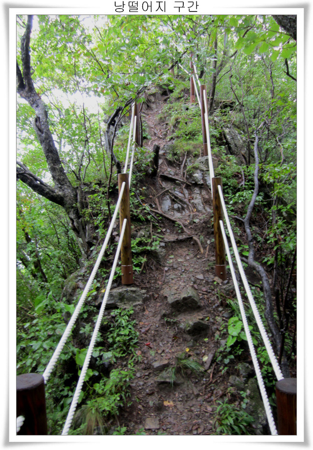 115DCA4C5039EF11245144