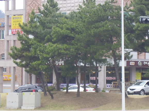 본가신촌설렁탕 이미지
