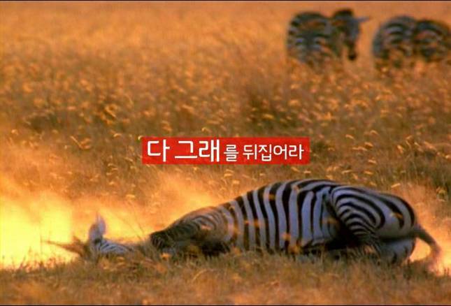 (주)그래오늘은 이미지