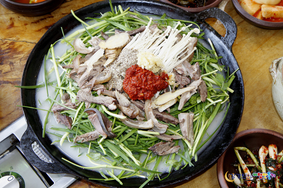 갈매기식당 이미지