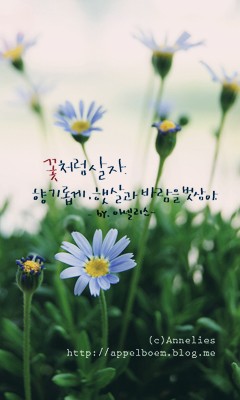 블로그 이미지