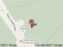 푸른 하늘에는 페러그라딩 땅위에는 나뭇꾼 쇼(Grouse Mountain, Vancouver)
