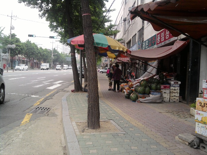 미나리깡 이미지