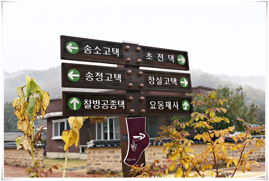 송소 이미지