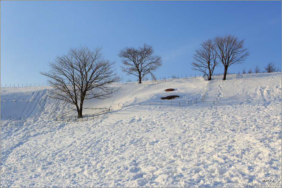 Snow Frolic(눈장난)-러브스토리OST