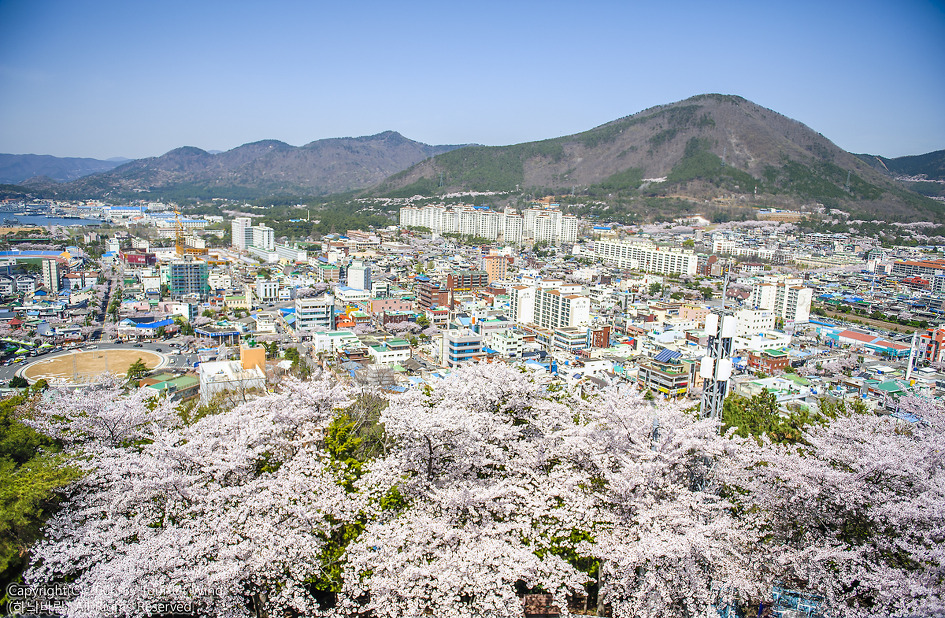 하나카 이미지