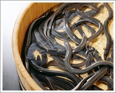푸드조선 이미지
