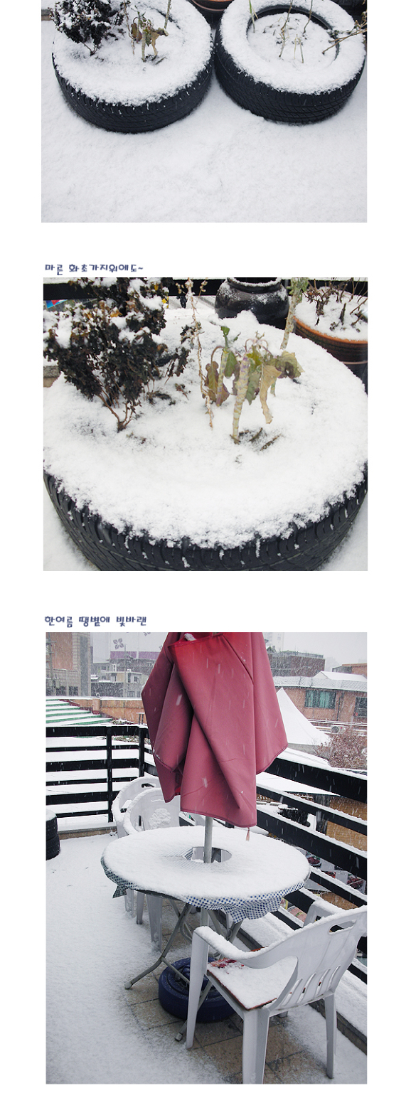 새해, 첫눈
