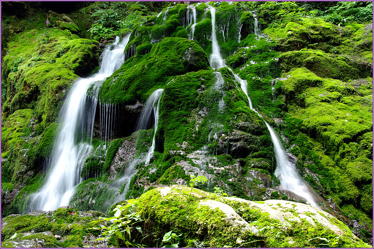 합법적인 음란물 (19세이하 관람불가)