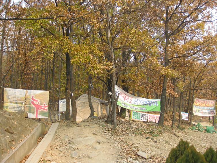 달비골 이미지