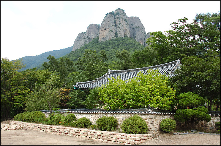 자미원 이미지