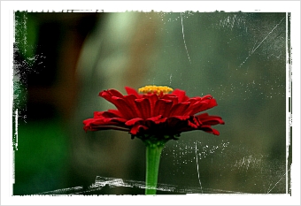 노래 듣기) POKAREKARE ANA - Hayley Westenra