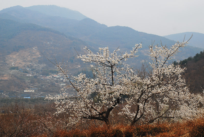 대동LPG충전소 이미지