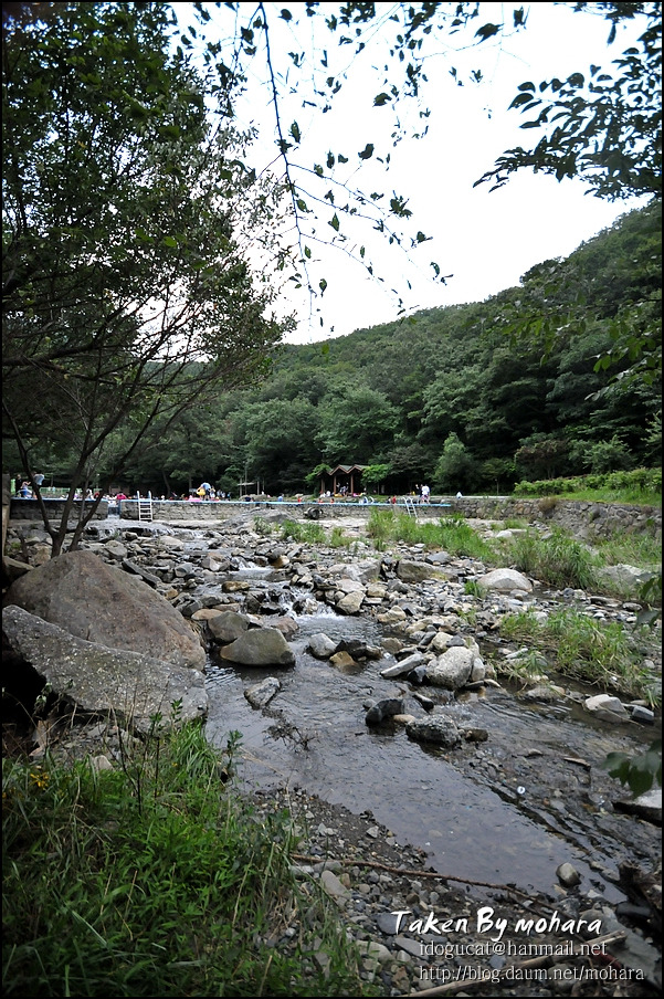 황해원 이미지
