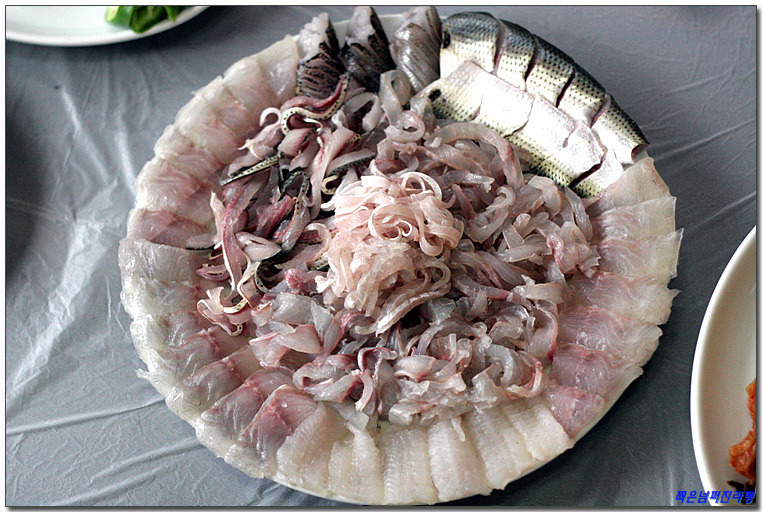 [마산 진동] 2시간 반이 결코 아깝지 않았던~ 일미횟집 > 네티즌 추천맛집