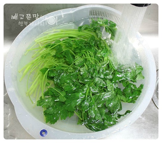 매일반찬 이미지