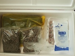 피부 미용과 노화 방지에 탁월한 효능~ 부드럽고, 담백한 아귀수육