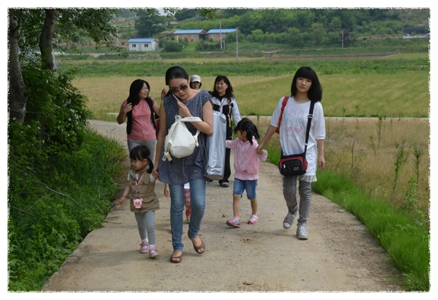 숲유치원 이미지