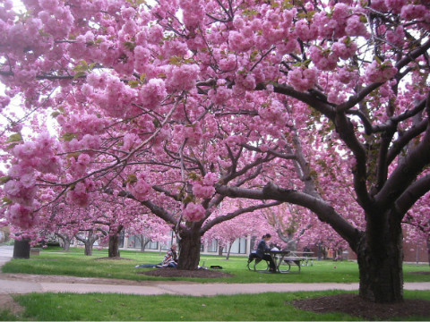 1601C9194C043AC04B7126