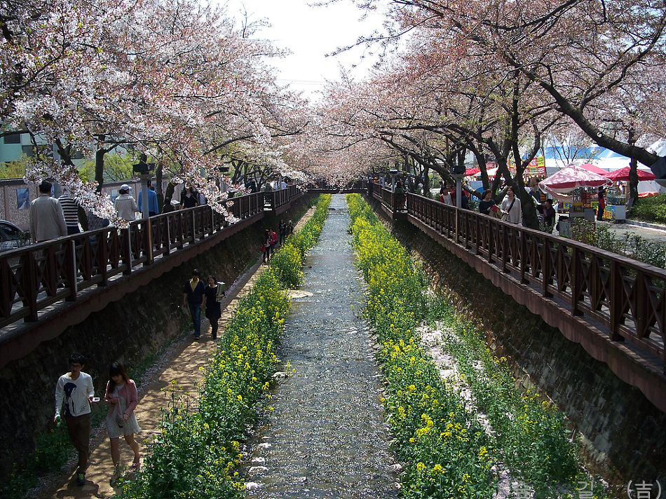 하나화원 이미지