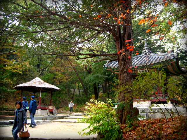 1614AF234AF5B9ED0FA900