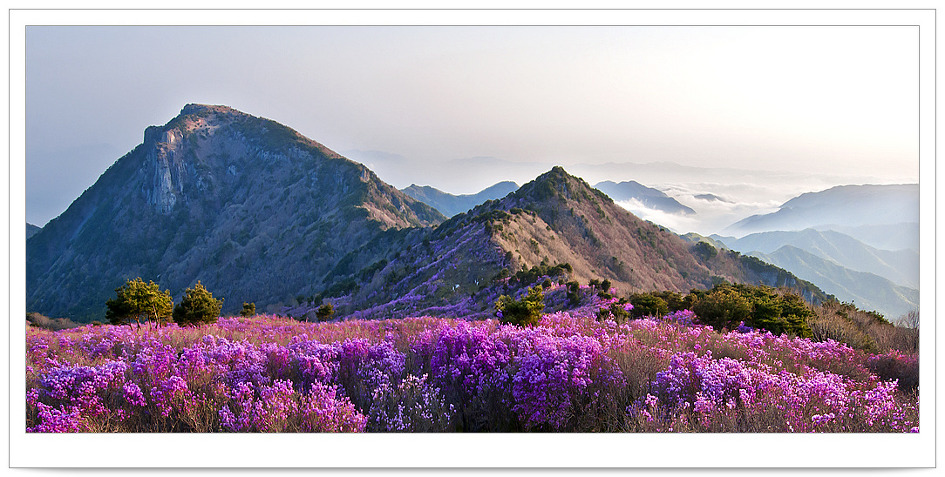 비슬산