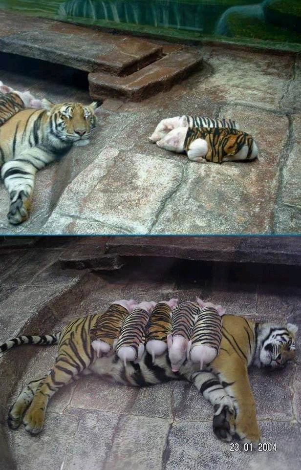 금이네 이미지