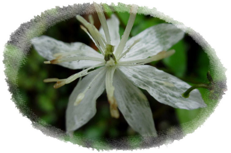 171FD4495039EF7E2BA1EB