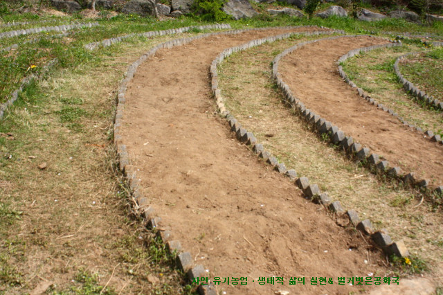 텃밭2 이미지