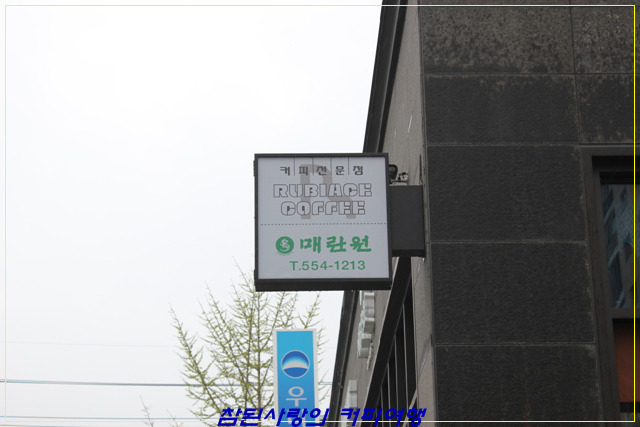 플라워에이스 이미지