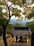 고려산 정상 오련지(五蓮池)에 오색(五色) 연꽃이 만개하다
