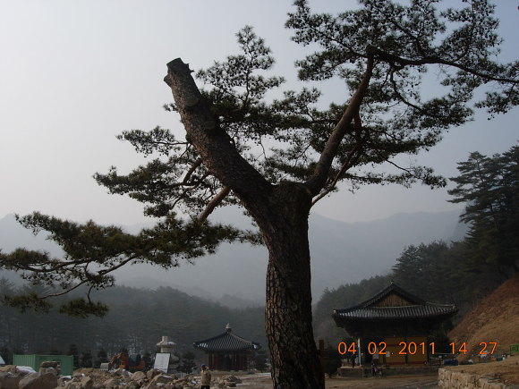 옛 동산에 올라