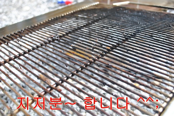 파인트리캠핑장 이미지
