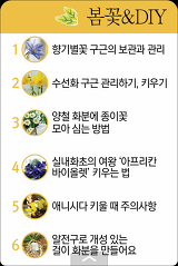 "꽃기린의 미니정원" 카드북으로 새롭게 출시되었습니다.