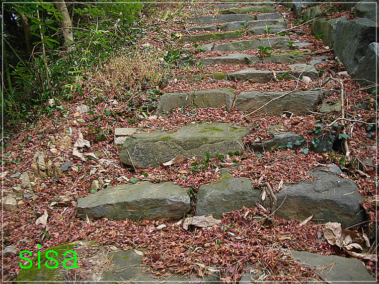 아름다운 반영...2009. 12. 8일