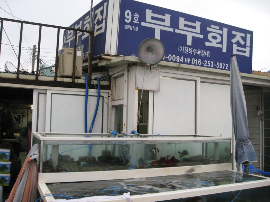 <463차 산행>울산바위 등반