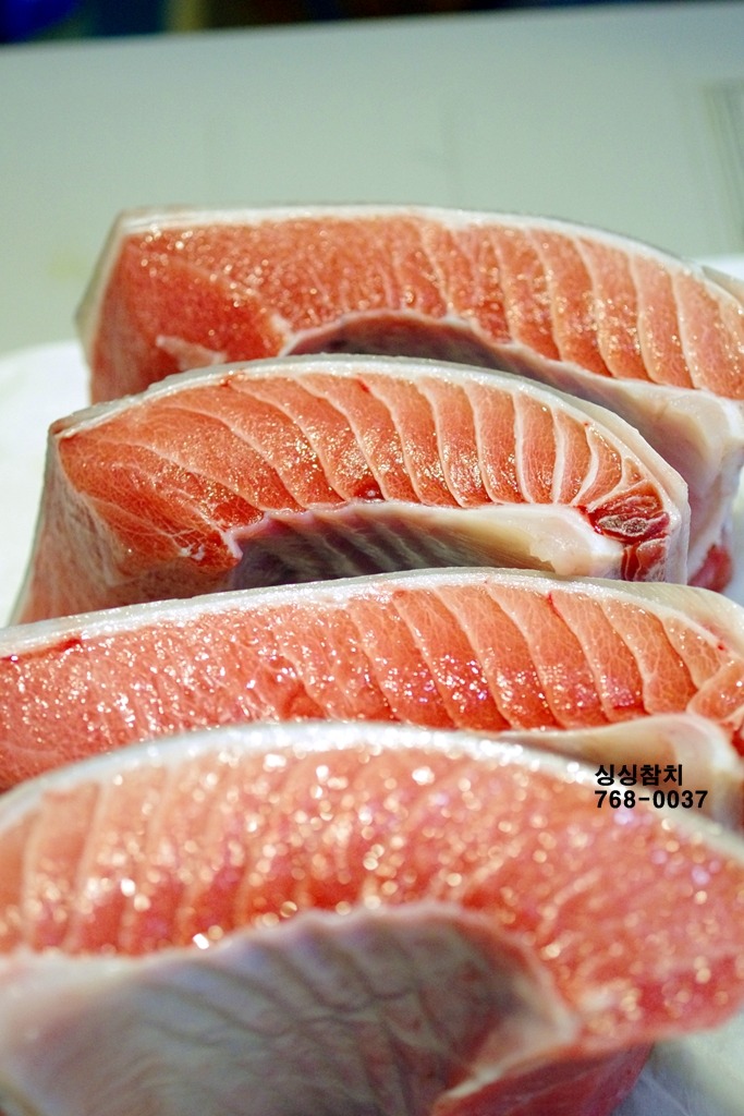 싱싱참치 이미지