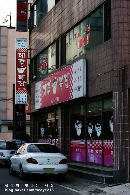제주복어 이미지