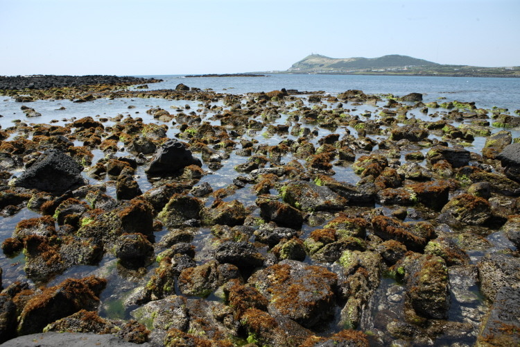 제주도 동쪽 끝에 우도에 다녀왔어요