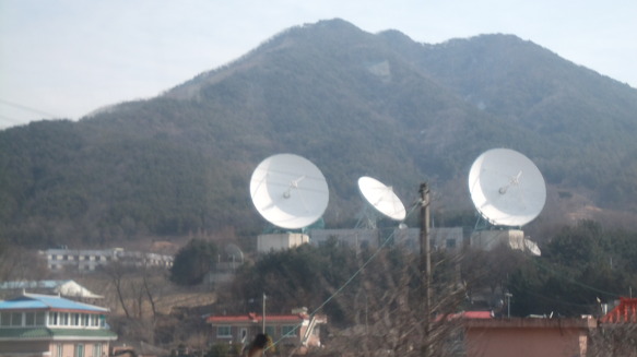 새봄여행 이미지