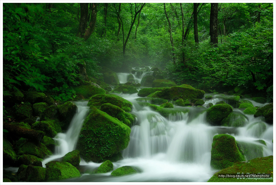 사라진 이끼계곡(2006.7.2)